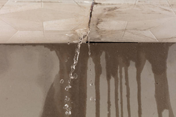 Professional Water Damage Restoration technician working in Dover, TN